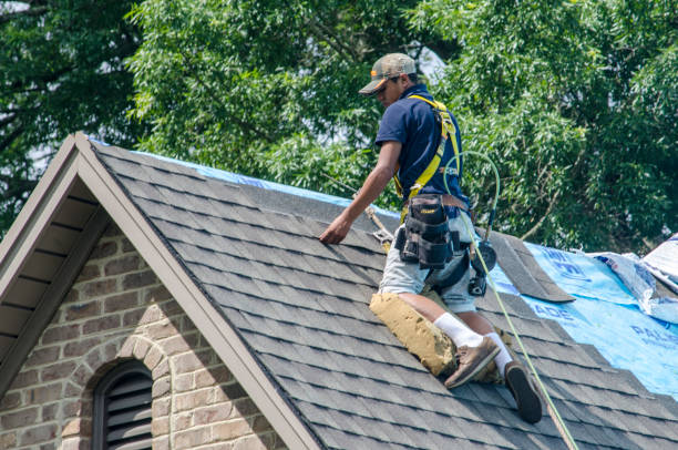 Best Roofing Contractor Near Me  in Algood, TN